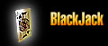 We can provide you with professional quality Blackjack Equipment and Blackjack Dealers